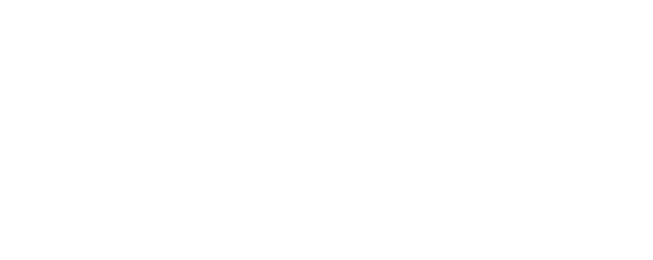 Brandon Network